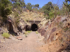 tunnel nel forrest national park