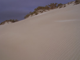 dune a greenought