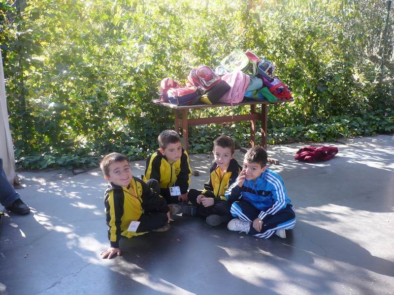 [Cambiar+tamañoDrecera+a+P1000615.JPG.jpg]