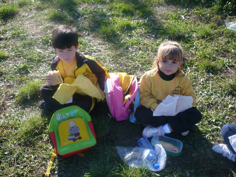 [Cambiar+tamañoDrecera+a+P1000627.JPG.jpg]