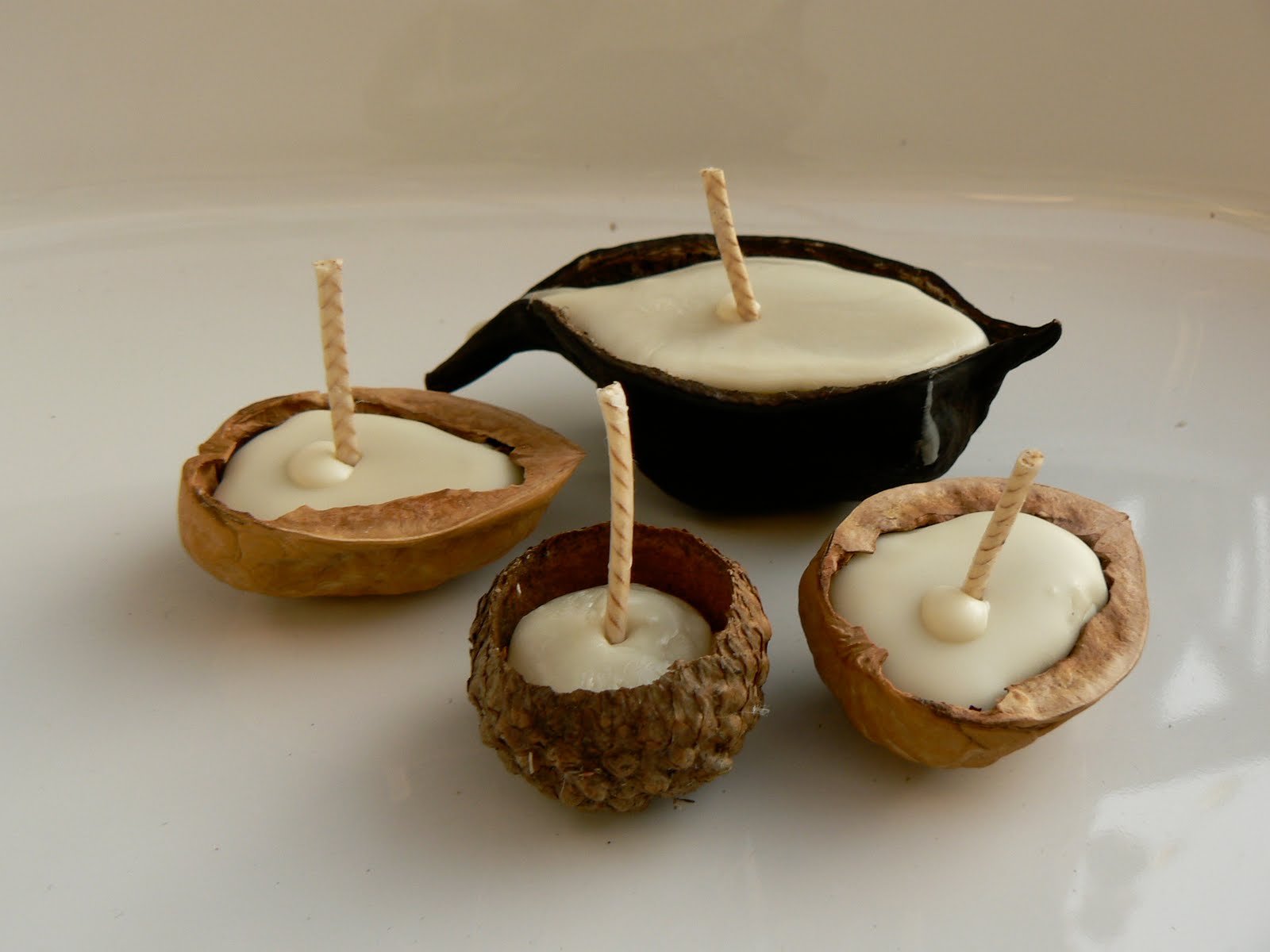 Walnut Shell Candle Making Kit - Woodlark Shop