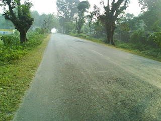 boulevard of broken dreams lonely road alone thoughts