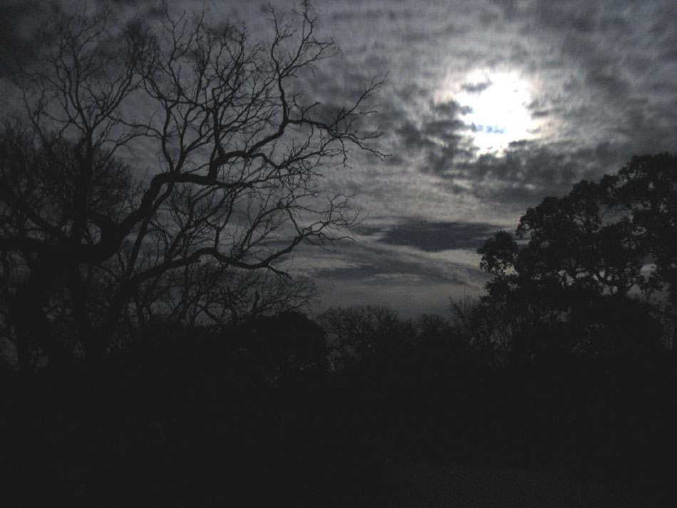 Moon In Clouds Nuff said Moon In Clouds Nuff said