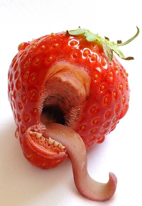 [morango+1.jpg]