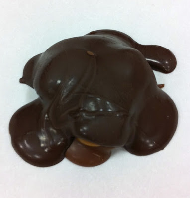 chocolate turtle
