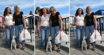Hustrun med hund