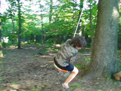 Nyack Backyard Tree Swing