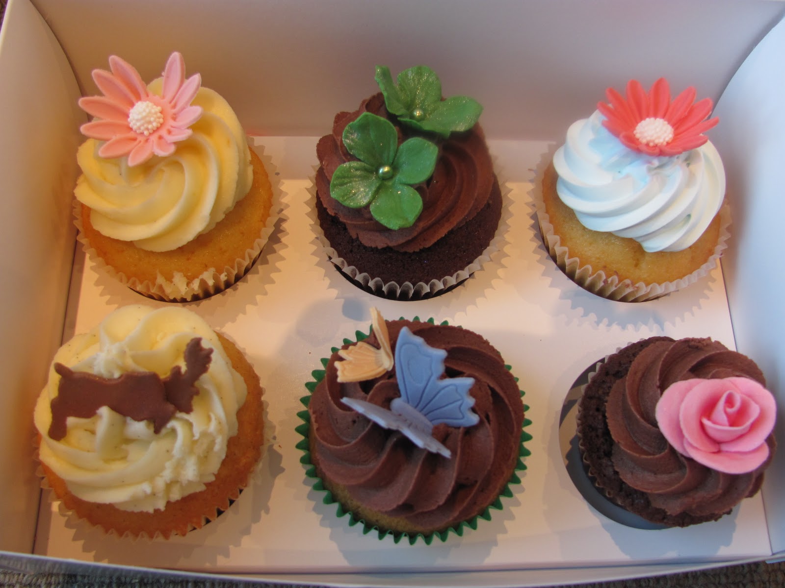 Mrs Cake Cupcakes, Miramar, Wellington