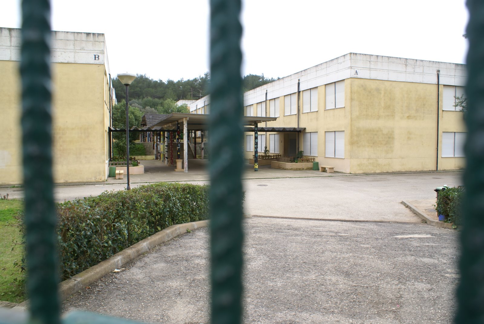 [DSC06516.JPG]