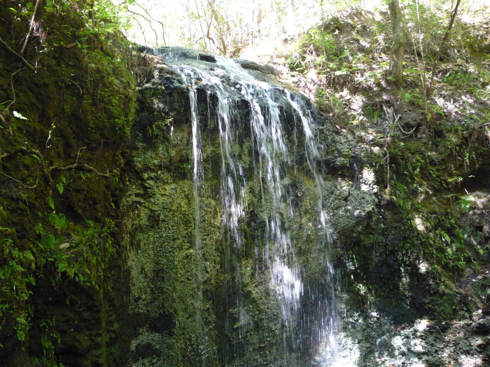 [Fallin+Waters+State+Parl+010.JPG]