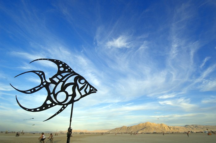 [desert_damsel_3.jpg]