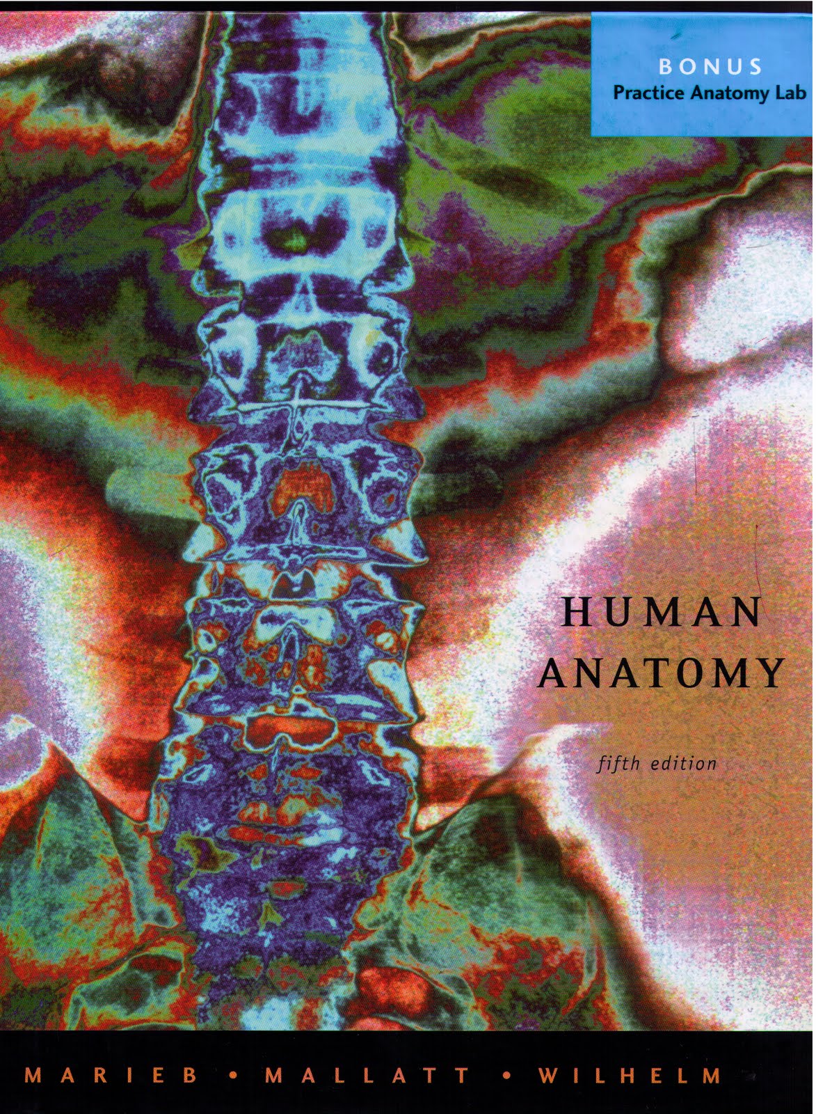 anatomy of text