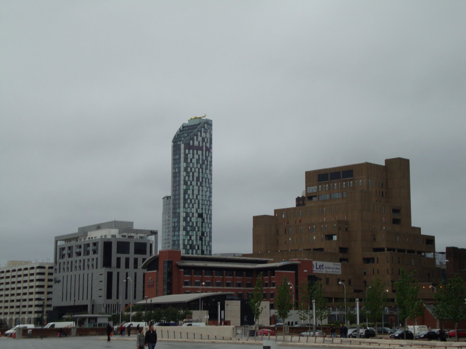 [DSC00124.JPG]