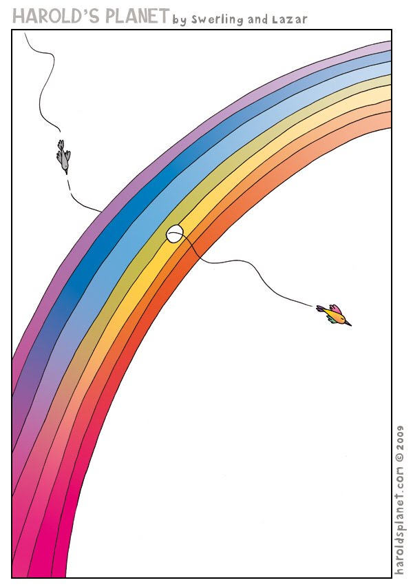 [rainbowbird.jpg]