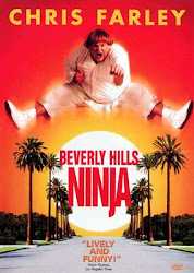 Capa do Filme Um Ninja da Pesada (Quad Audio) Baixe imagem de Um Ninja da Pesada (Quad Audio) sem Torrent