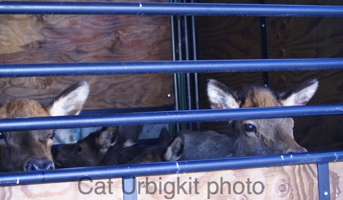 [DSC04221+copy+2.JPG]