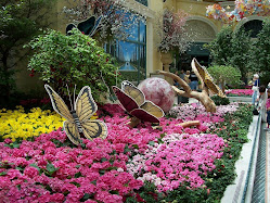Bellagio Garden