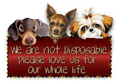 We are not disposable