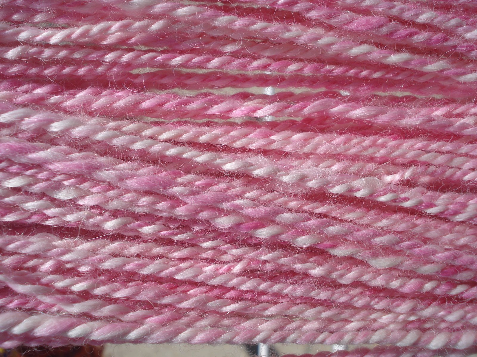 [DSC03131.JPG]