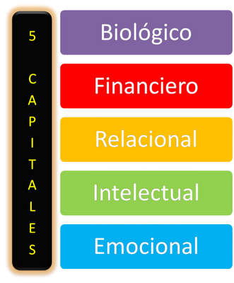 cinco capitales