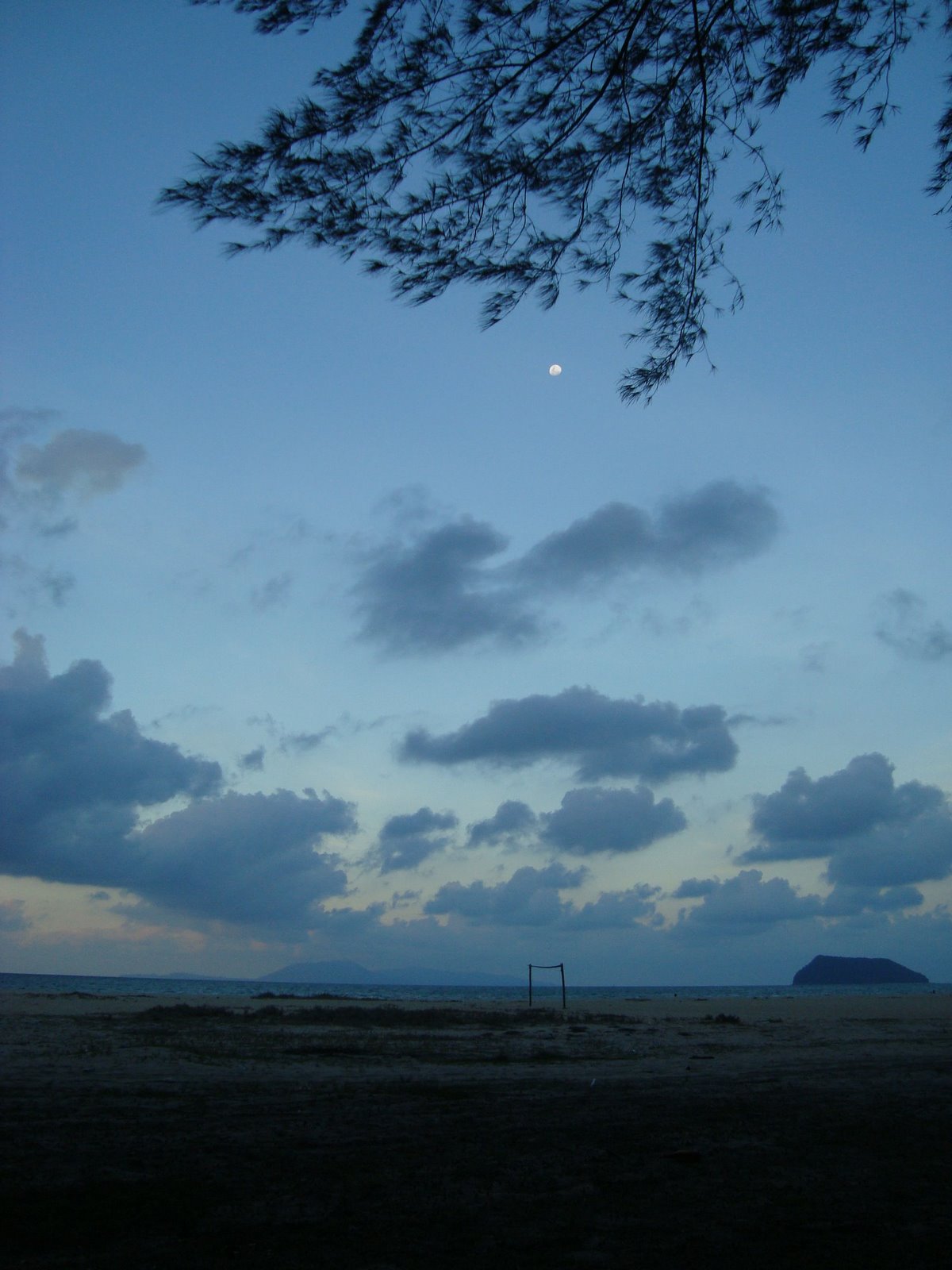 [DSC02551.JPG]
