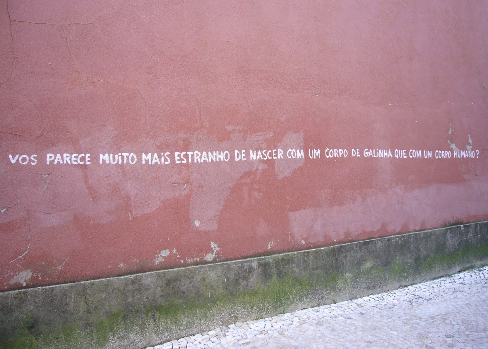 [P1050807.JPG]
