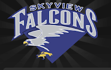 Skyview High School