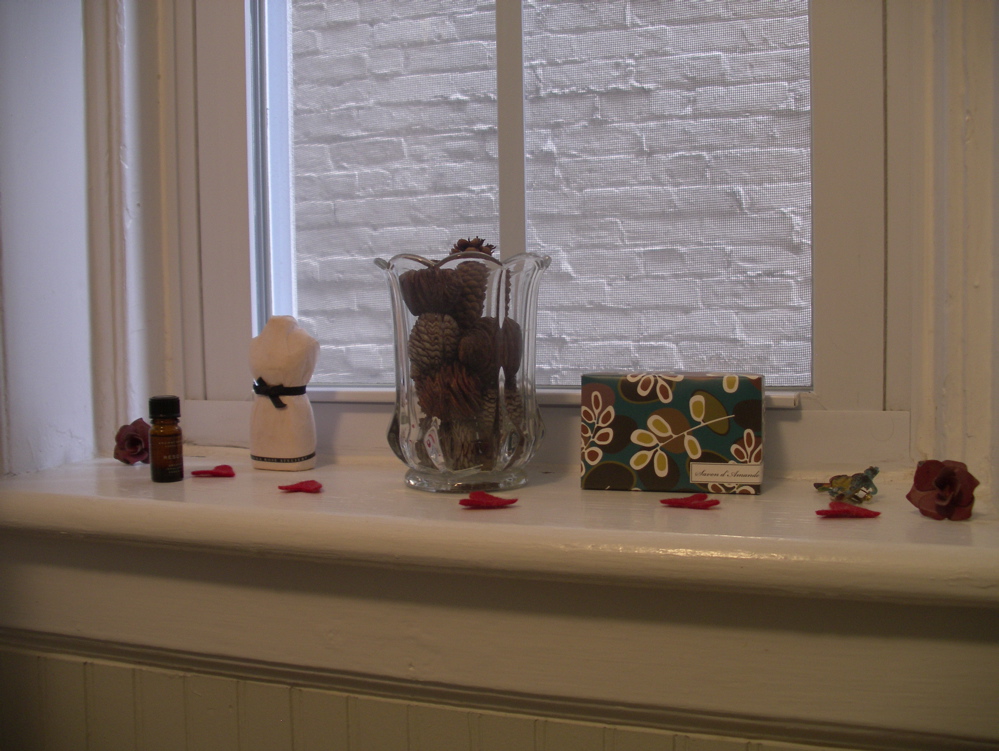 [bathwindowsill.jpg]