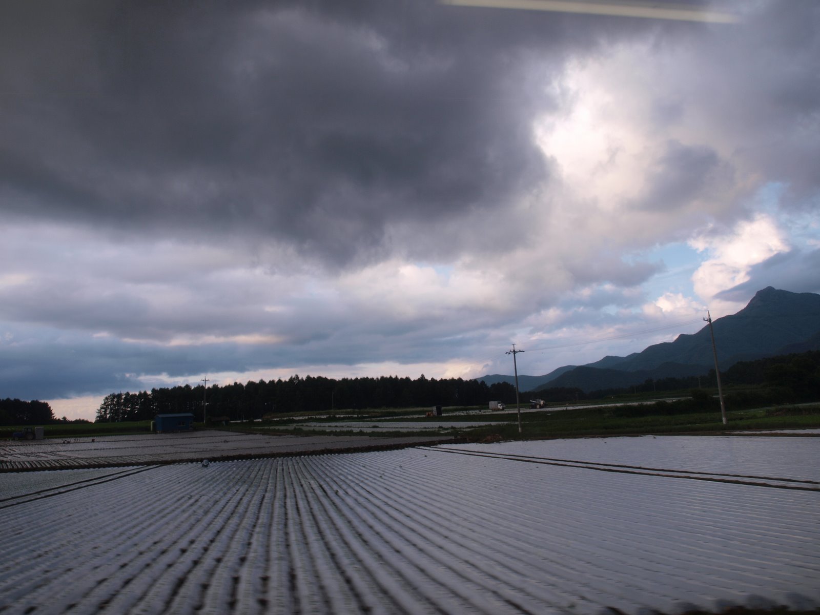 [P8031656.JPG]