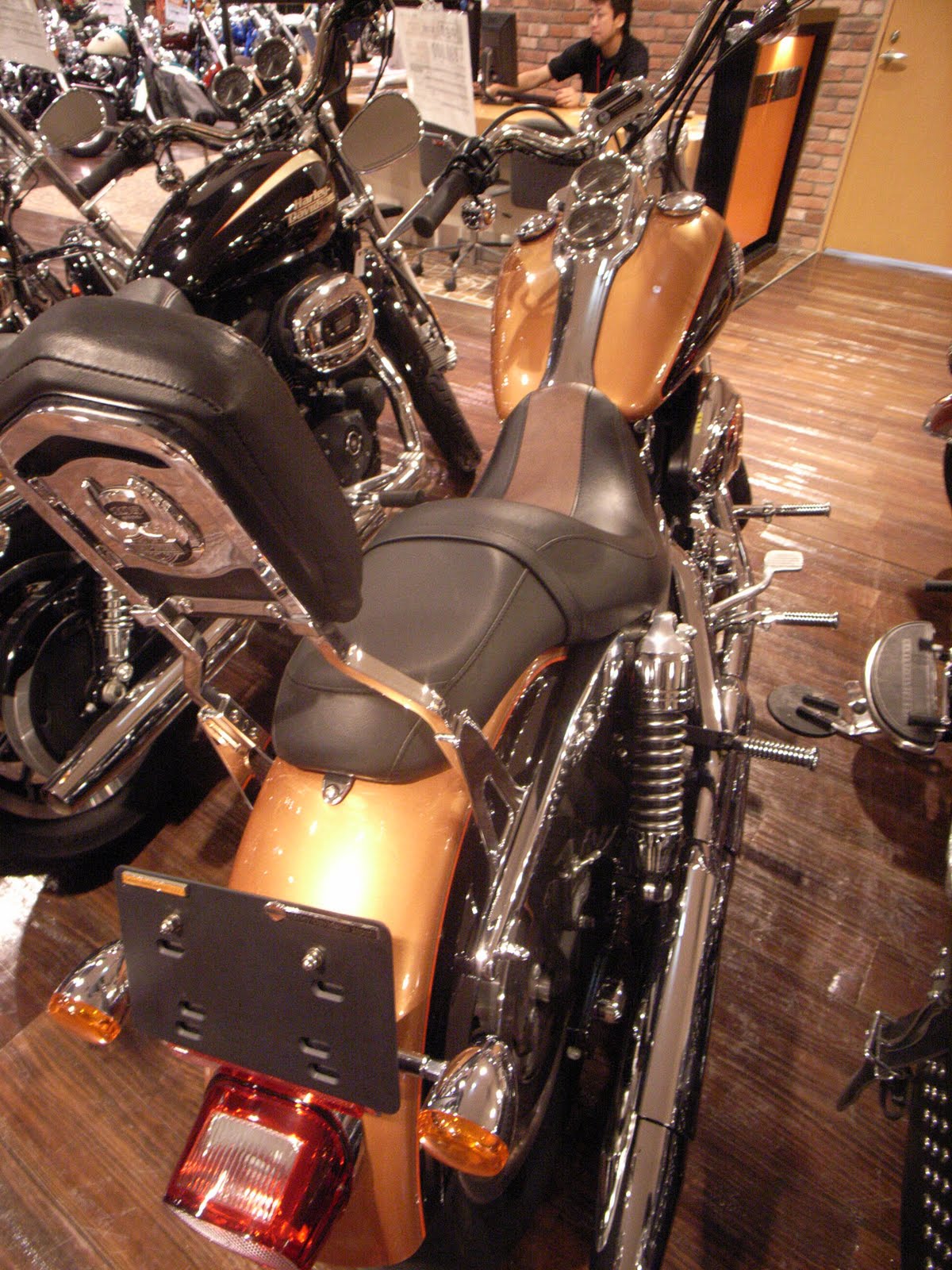 [R0016618.JPG]