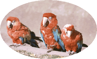 Did you hear the one about the three economists?