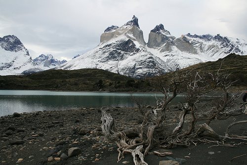 [Patagonia.jpg]