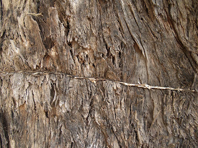 wood, Zaghouan, Zagwane, steel , chained wood
