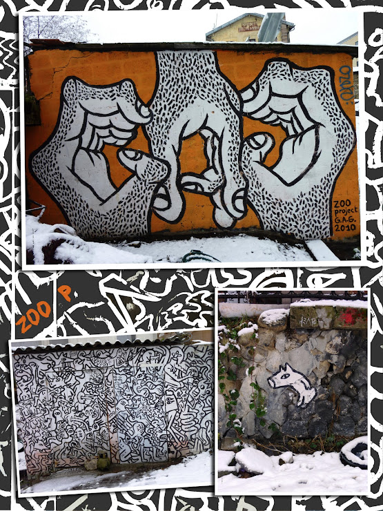 zoo project zoo project montage loveonthewall