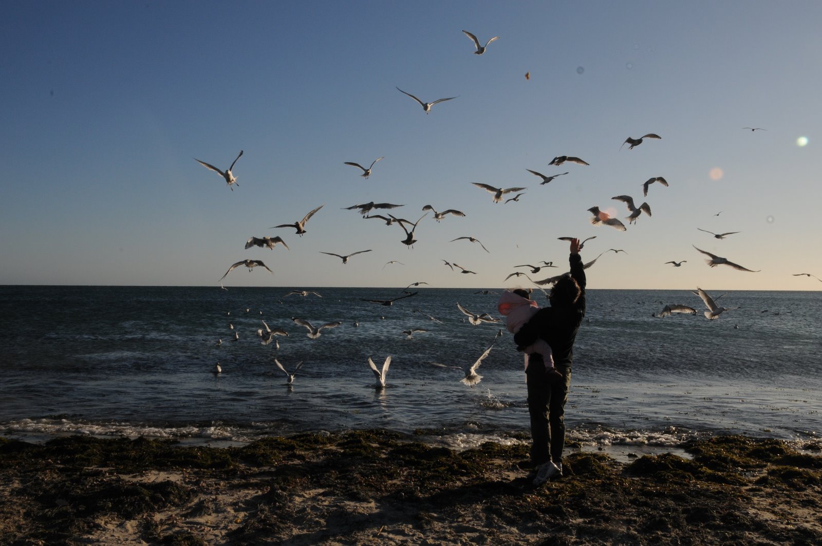 [kreegerpottery_seagulls4.JPG]