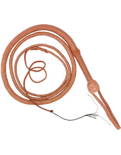 whip.jpg
