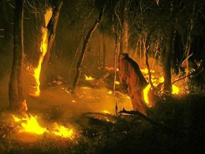 Bushfire Ash Wednesday