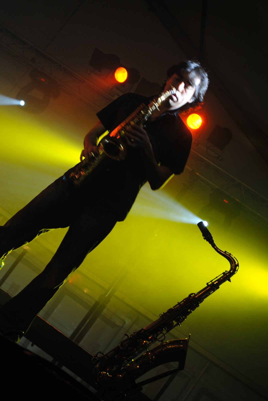 stacey sanchez videos