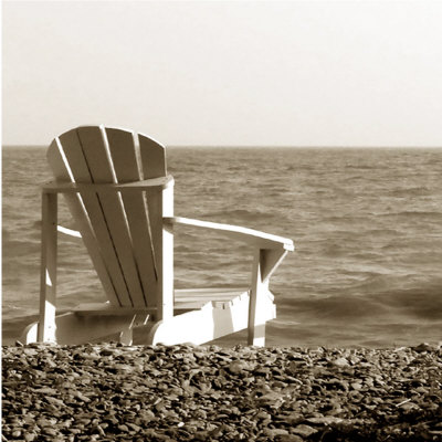[steven-mitchell-adirondack-chair.jpg]