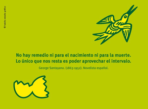 usadas usadas