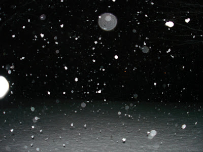 The Way Home - cover image