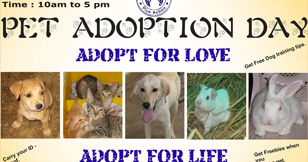 free pet adoption day