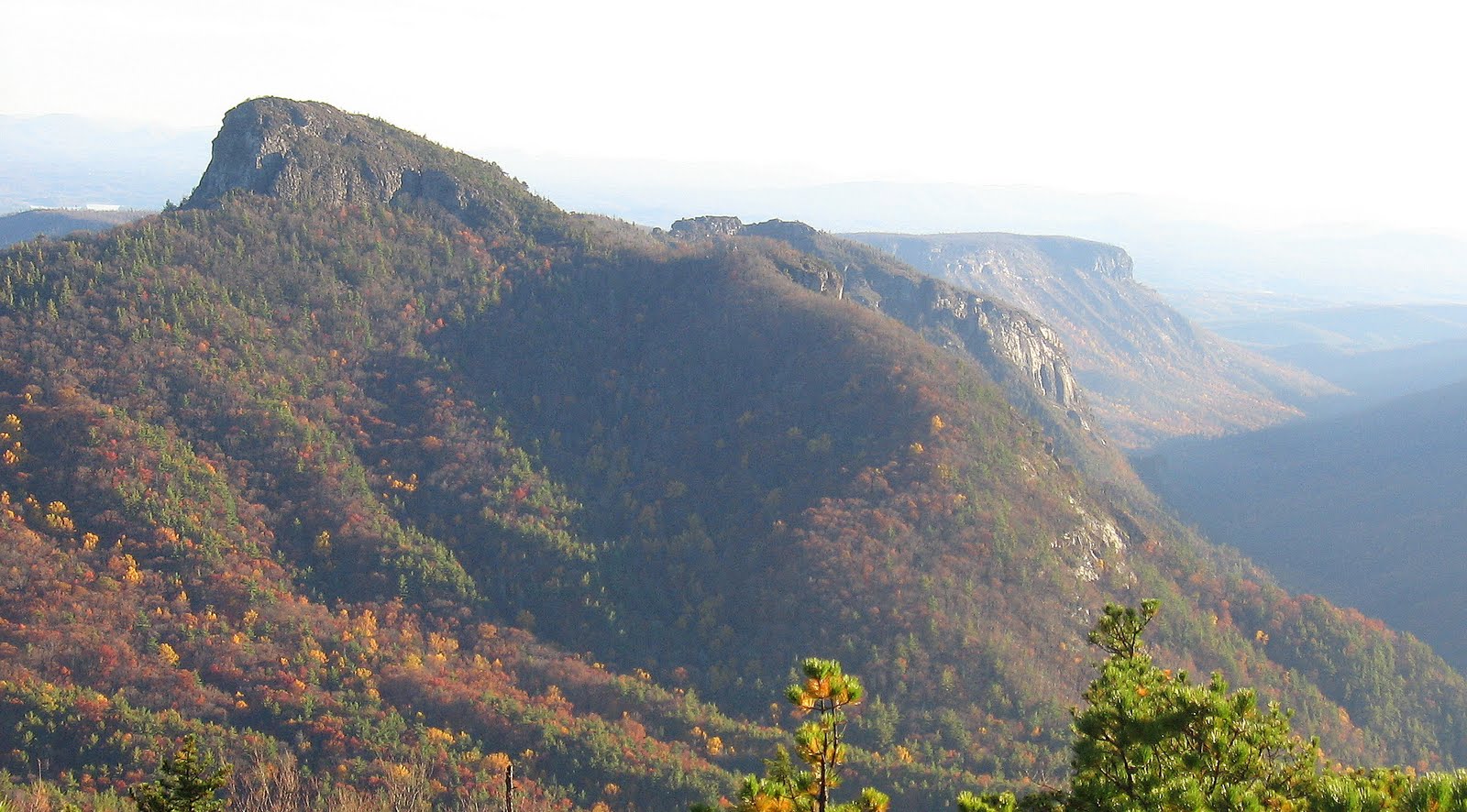 [IMG_2176a.JPG]