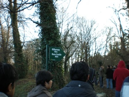 [PC250084.JPG]
