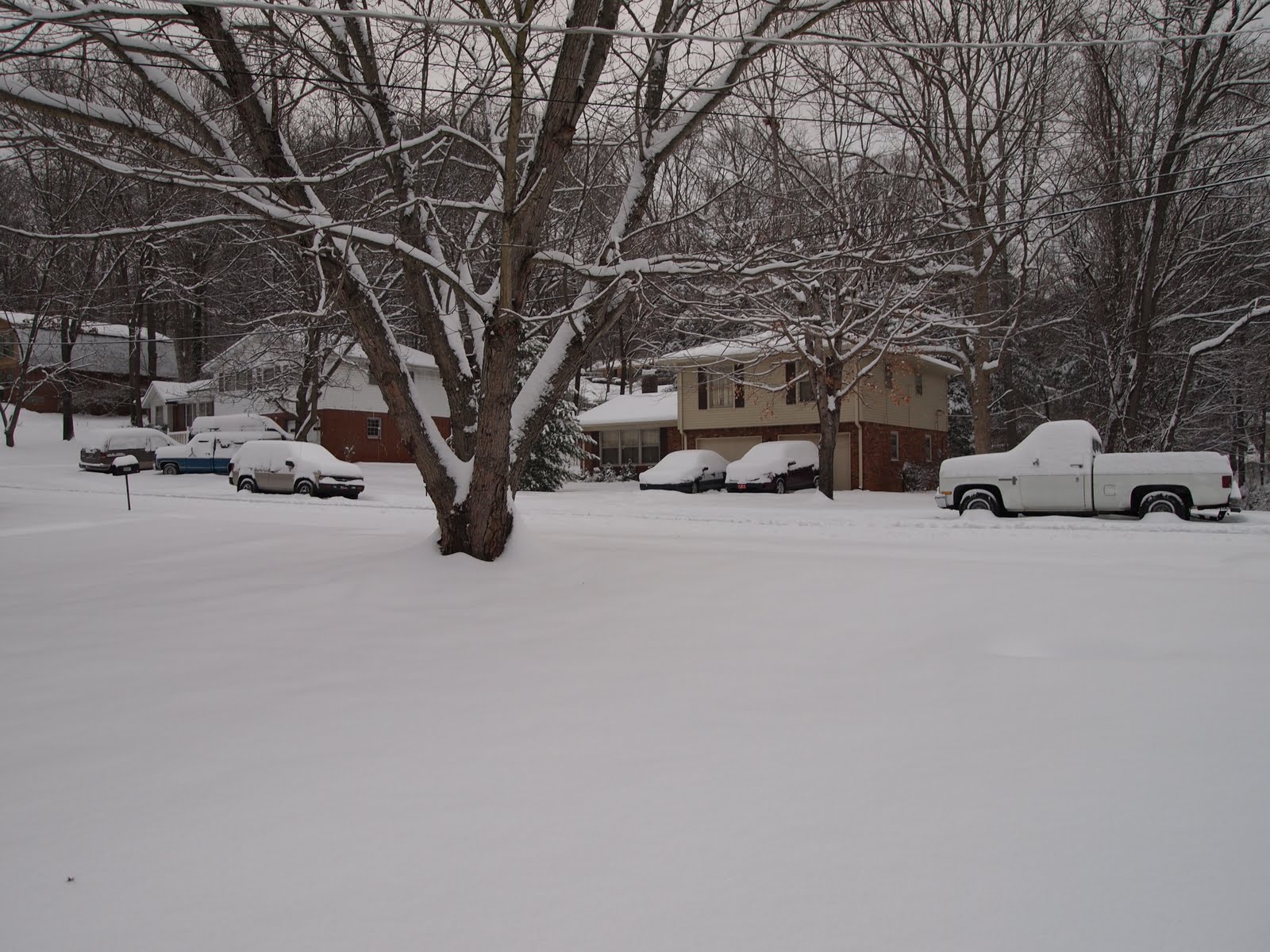 Mike Wilhelm's Alabama Weather Blog Third Biggest Snow on