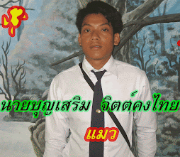 สวัสดีครับผม แมว ครับ