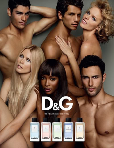 Social Scents: D&G Fragrance Anthology Social Scents: D&G Fragrance Anthology