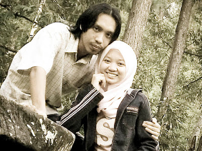 Hutan Konifer