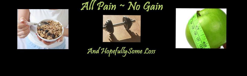 All Pain ~ No Gain
