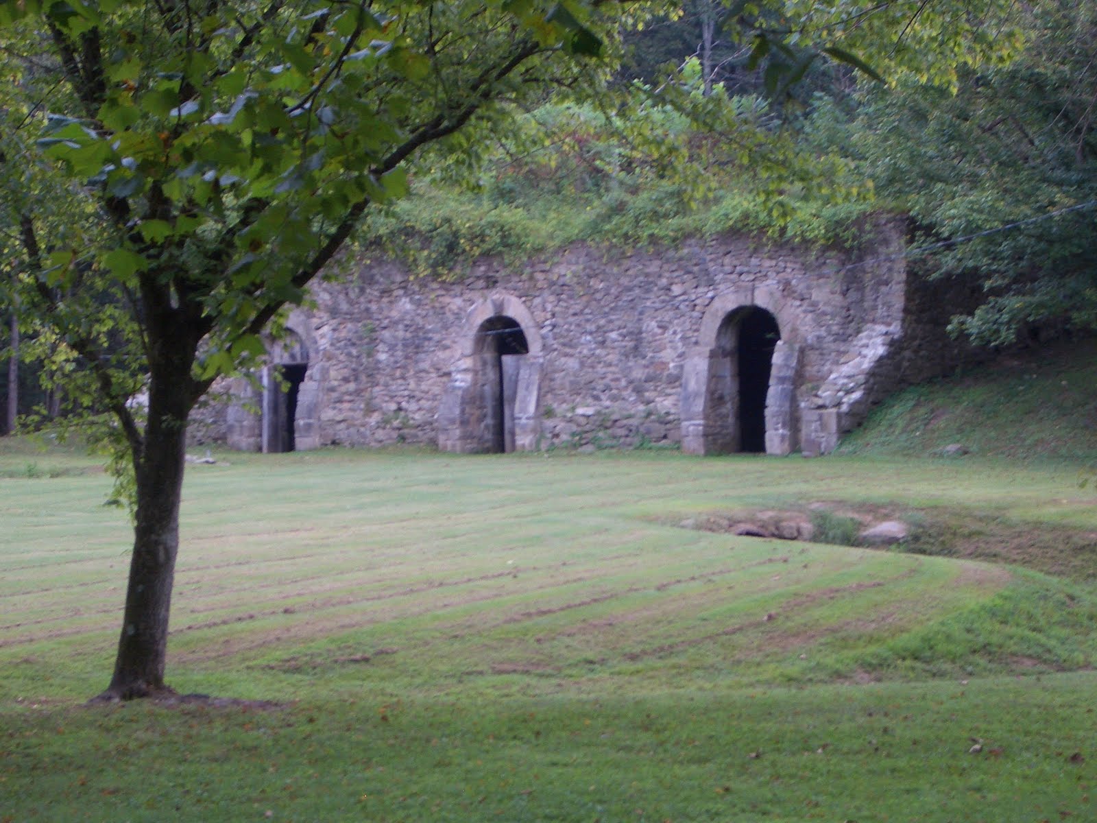 A Passion for Nature Hiking To Wine Cellar Lake in Dunbar, WV